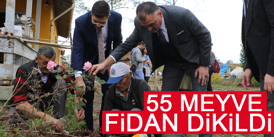 Salıpazarı ilçesinde öğretmenler için 55 meyve fidanı dikildi