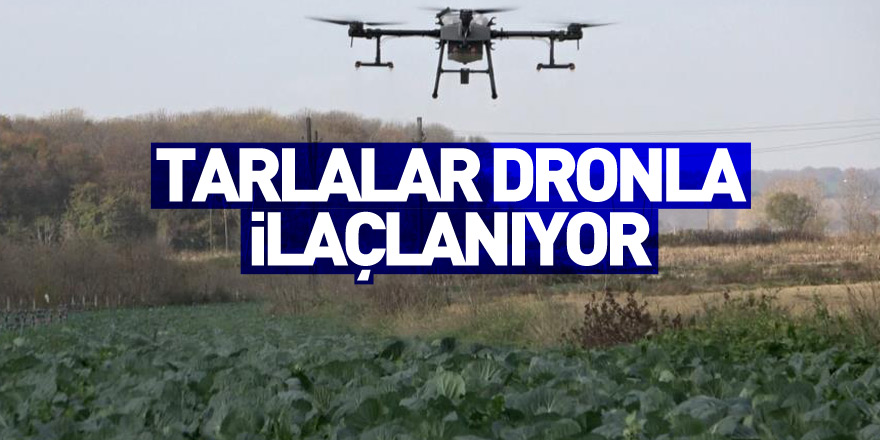 Tarlalar dronla ilaçlanıyor