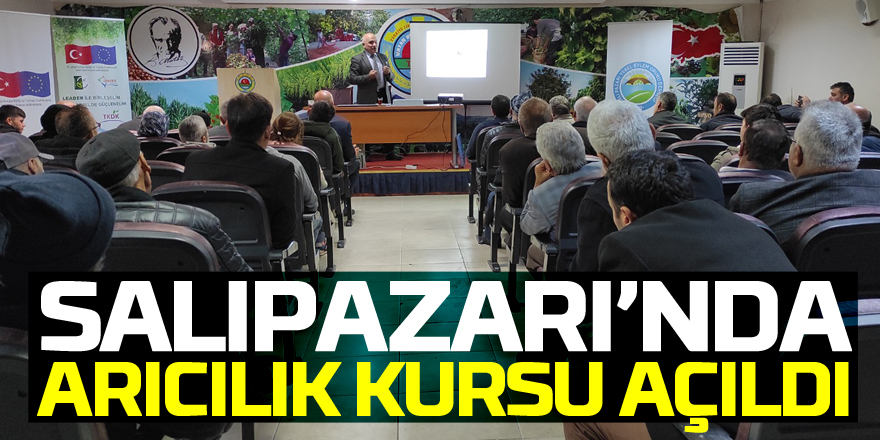 Salıpazarı ilçesinde arıcılık kursu açıldı