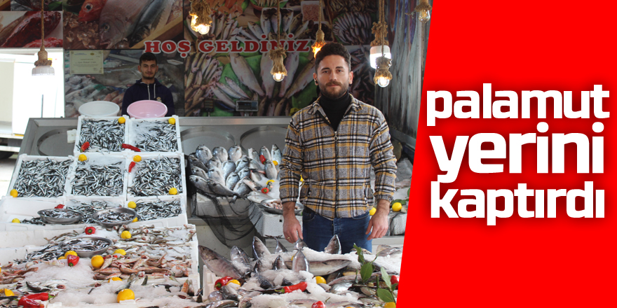 Palamut Yerini Kaptırdı