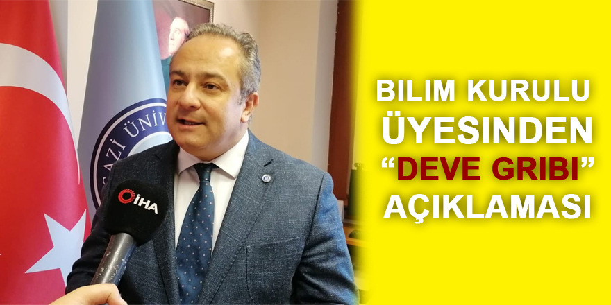 Bilim Kurulu Üyesi Prof. Dr. İlhan: 'Deve gribi için endişe etmeye gerek yok'