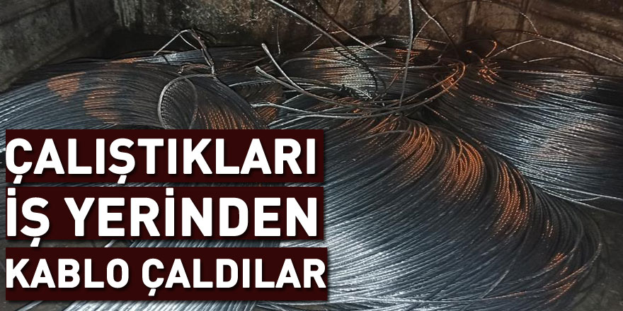 Çalıştıkları iş yerinden kablo çalan şahıslar yakalandı