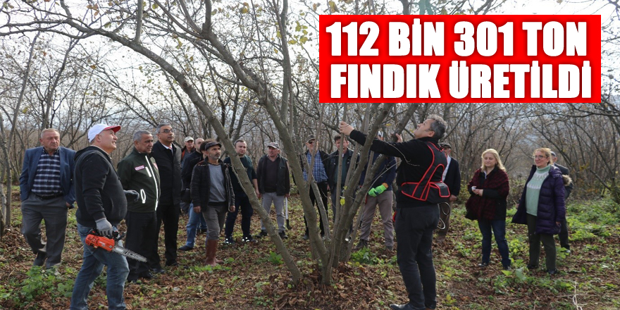 Samsun’da 2022’de 112 bin 301 ton fındık üretildi