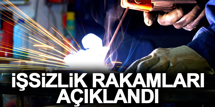 İşsizlik oranı Ekim ayında yüzde 10,2 oldu