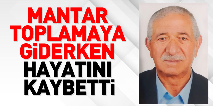 Mantar toplamaya giderken kazada yaralanan yaşlı adam hayatını kaybetti