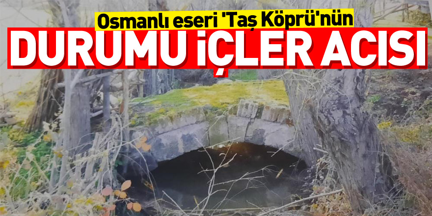 Osmanlı eseri 'Taş Köprü'nün durumu içler acısı