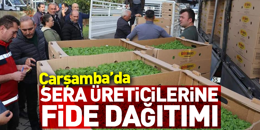 Sera Üreticilerine Fide Dağıtımı