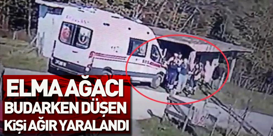 Elma ağacı budarken düşen kişi ağır yaralandı