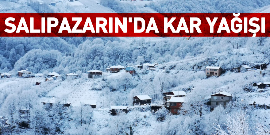 Salıpazarın'da kar yağışı