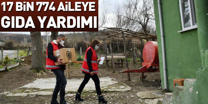 Samsun'da 1706 aileye yakacak, 17 bin 774 aileye gıda yardımı