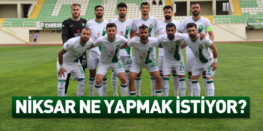 NİKSAR NE YAPMAK İSTİYOR?