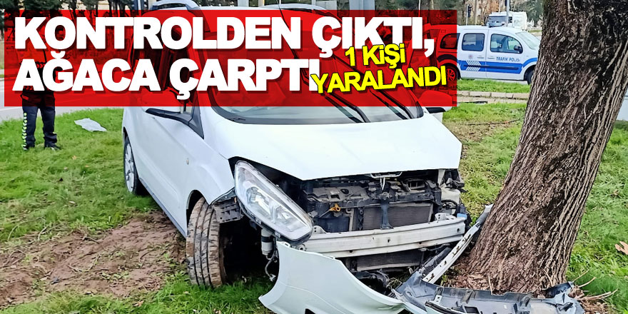 Kontrolden çıktı, ağaca çarptı: 1 yaralı