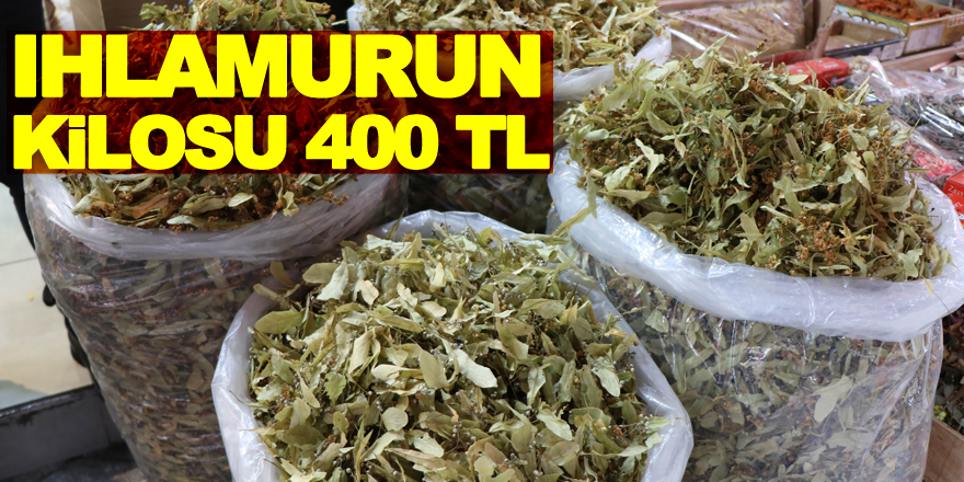 Ihlamurun kilosu 400 TL