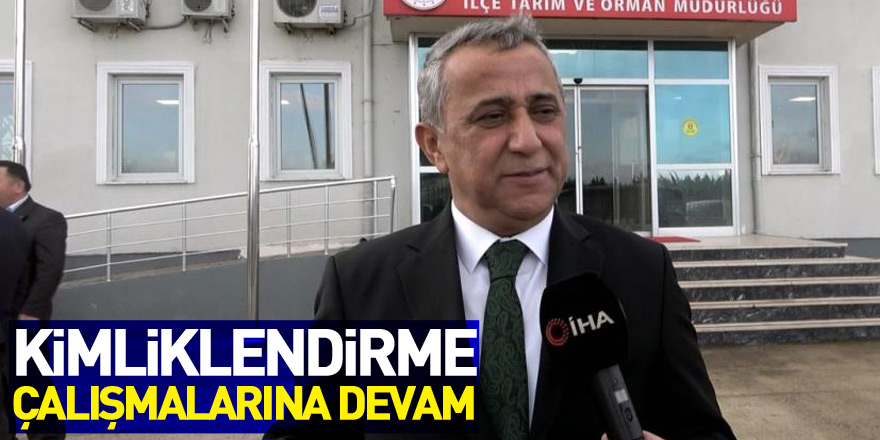 Samsun’da evcil hayvanların kimliklendirme çalışmaları sürüyor