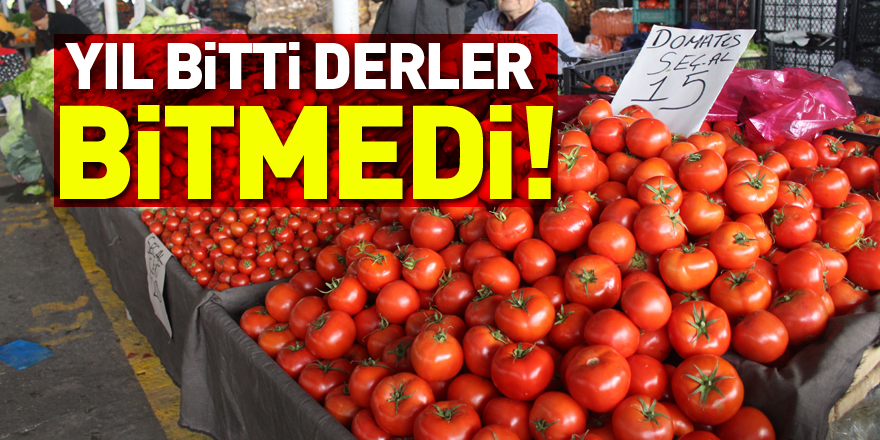 Yıl Bitti Dertler Bitmedi!