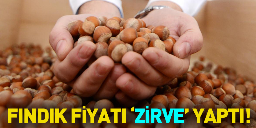 FINDIK FİYATI ‘ZİRVE’ YAPTI!