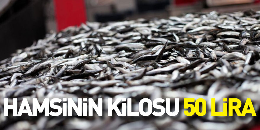 HAMSİNİN KİLOSU 50 LİRA