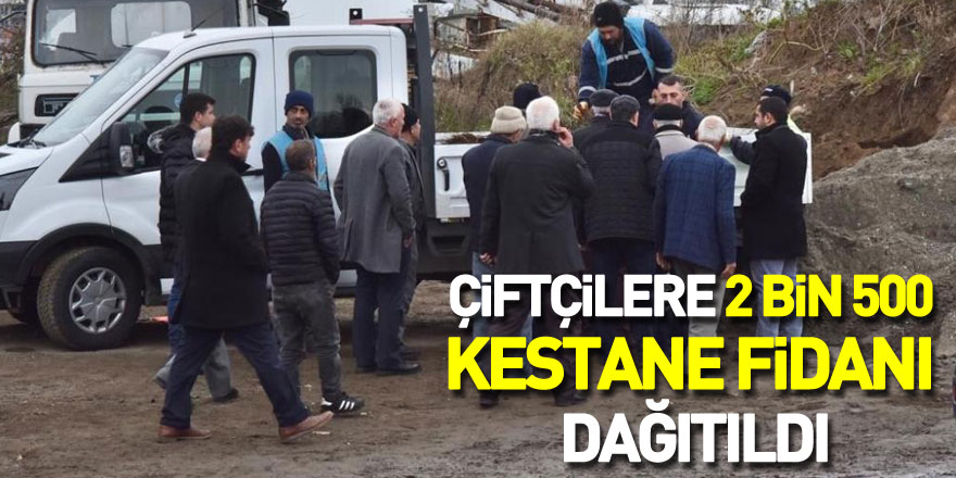 Çiftçilere 2 bin 500 kestane fidanı dağıtıldı