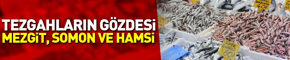 Balık tezgahlarının gözdesi mezgit, somon ve hamsi