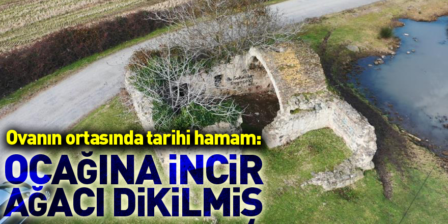 Ovanın ortasında tarihi hamam: Ocağına incir ağacı dikilmiş