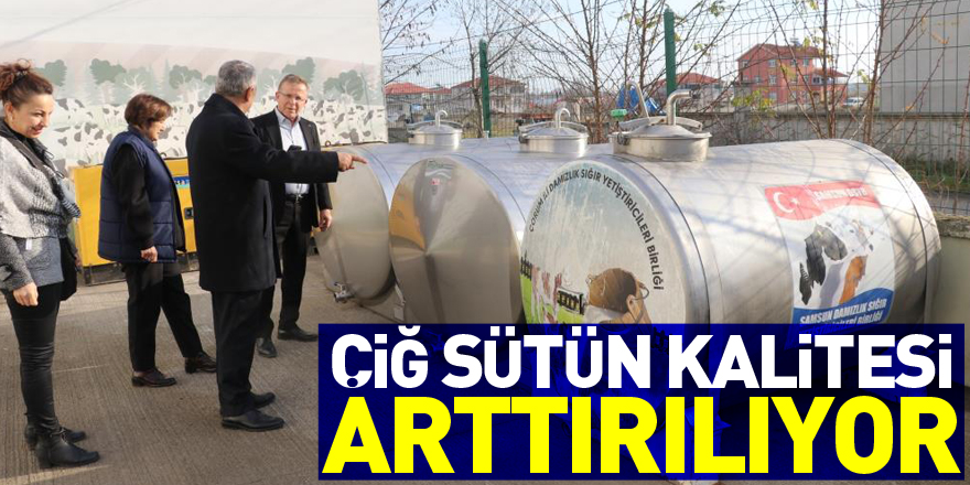 Samsun’da çiğ sütün kalitesi arttırılıyor