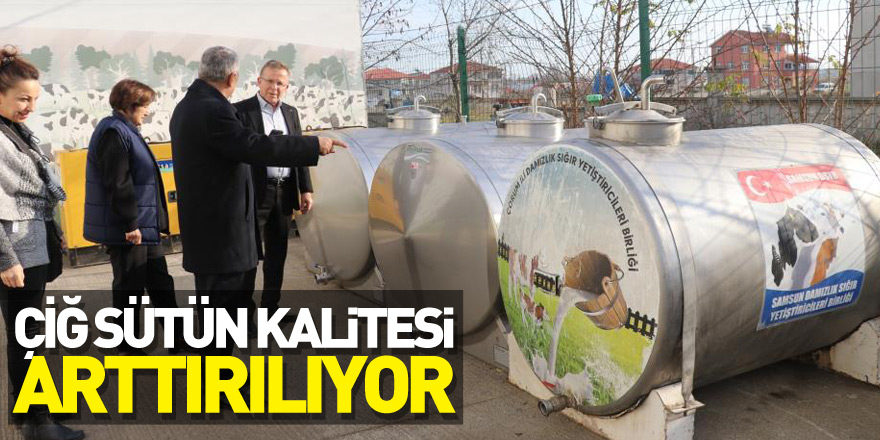 Samsun’da çiğ sütün kalitesi arttırılıyor