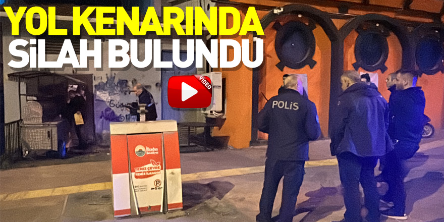 Samsun'da yol kenarındaki kovanın içinde silah bulundu