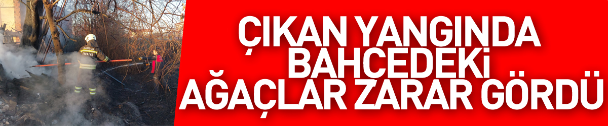 çıkan yangında bahçedeki ağaçlar zarar gördü