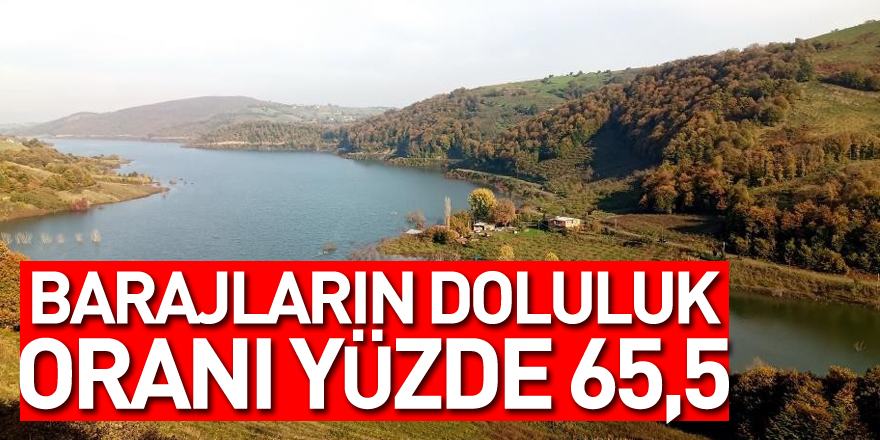 Samsun’da barajların doluluk oranı yüzde 65,5