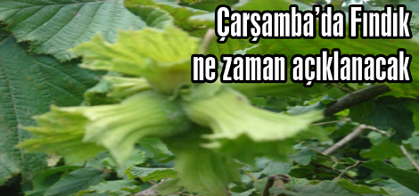 Çarşamba’da Fındık ne zaman açıklanacak?