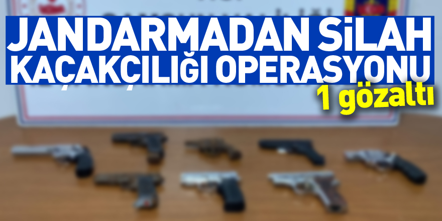 Samsun'da jandarmadan silah kaçakçılığı operasyonu: 1 gözaltı