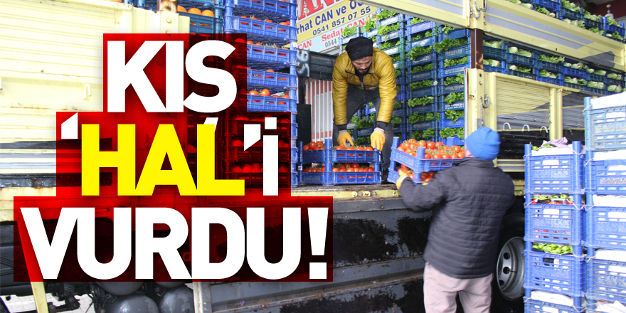 KIŞ ‘HAL’İ VURDU!