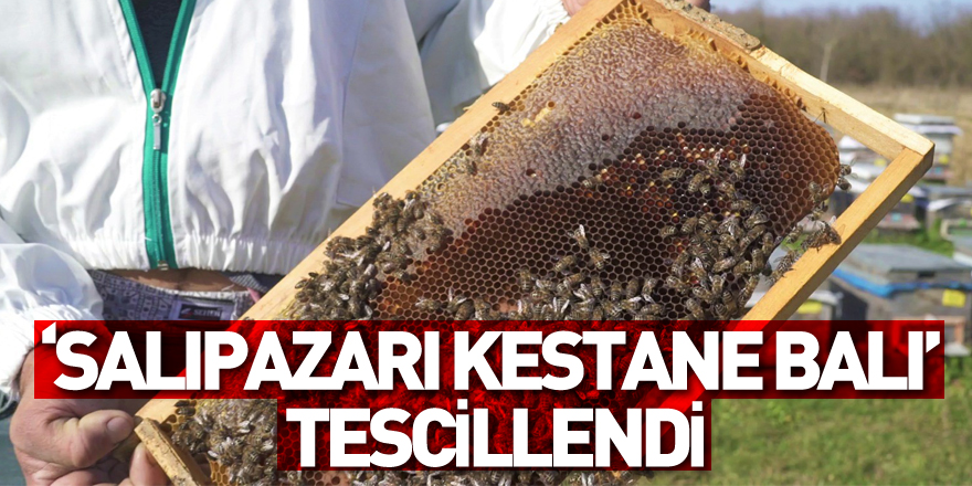 ‘Salıpazarı kestane balı’ coğrafi işaret aldı