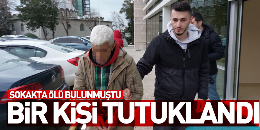 Televizyon tamircisinin sokakta ölü bulunması olayı ile ilgili bir kişi tutuklandı