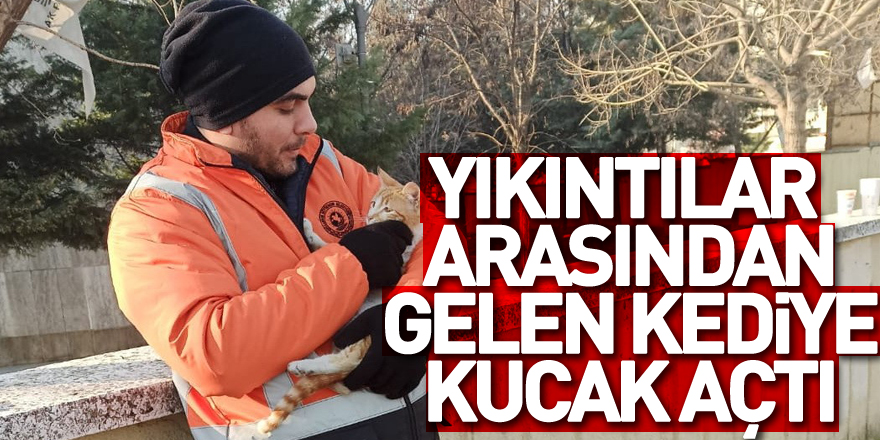 Yıkıntılar arasından gelen kediye kucak açtı