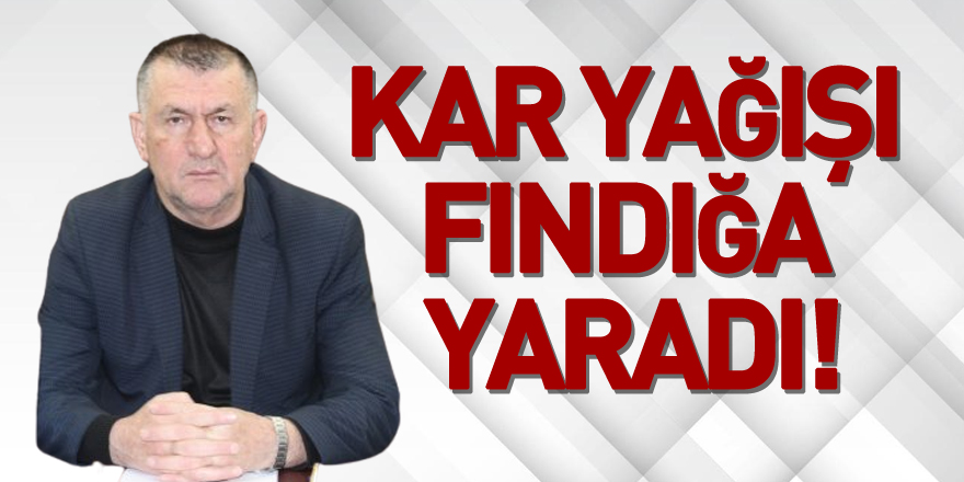 KAR YAĞIŞI FINDIĞA YARADI!