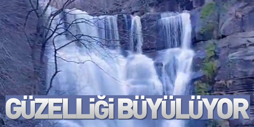 Güzelliği Büyülüyor