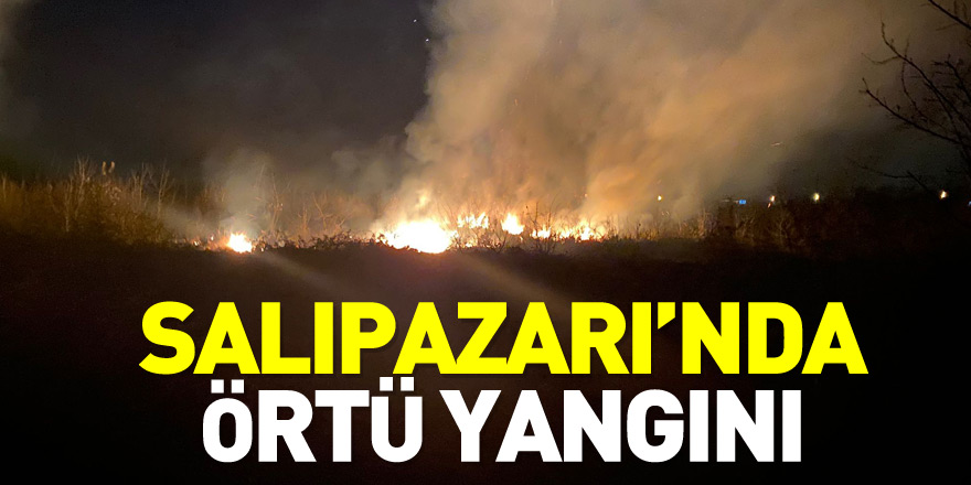 Salıpazarı’nda örtü yangını