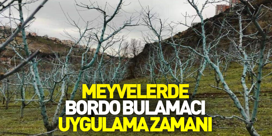 Meyvelerde bordo bulamacı uygulama zamanı