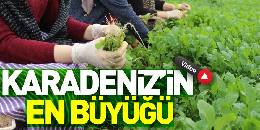 Karadeniz’in En Büyüğü