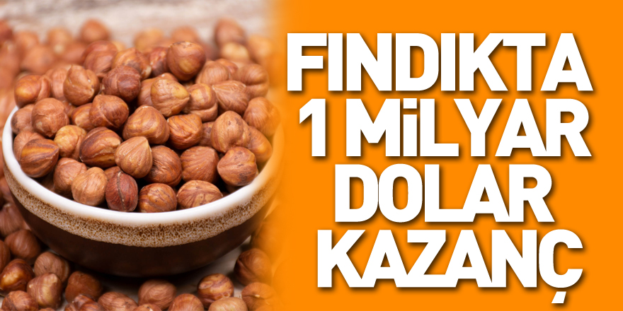 fındıkta  1 milyar dolar kazanç