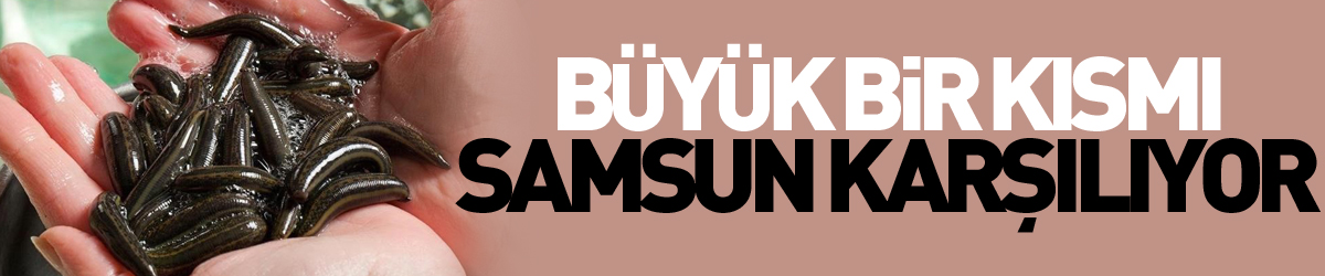 Türkiye’nin ihraç ettiği tıbbi sülüğün büyük bir kısmını Samsun karşılıyor