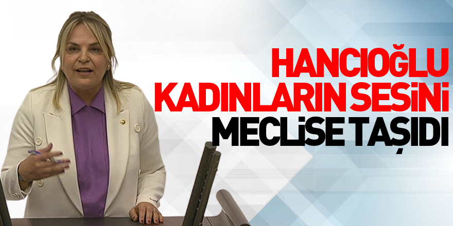 Hancıoğlu, kadınların sesini Meclise taşıdı