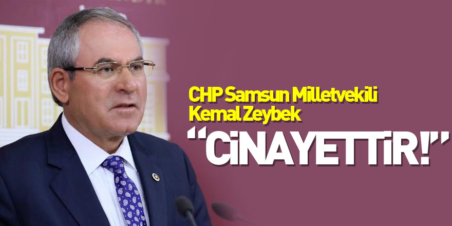 ZEYBEK; “CİNAYETTİR!”