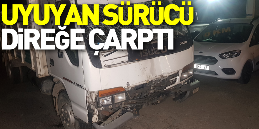 Uyuyan sürücü direğe çarptı