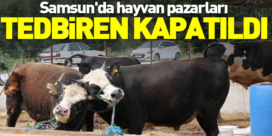 Samsun'da hayvan pazarları tedbiren kapatıldı, 'SAT-2' tipi şap hastalığına rastlanmadı