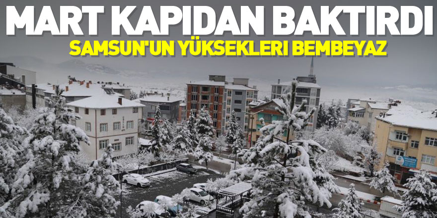 Mart kapıdan baktırdı: Samsun'un yüksekleri bembeyaz