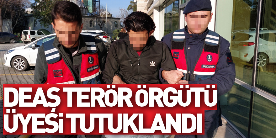 DEAŞ terör örgütü üyesi tutuklandı