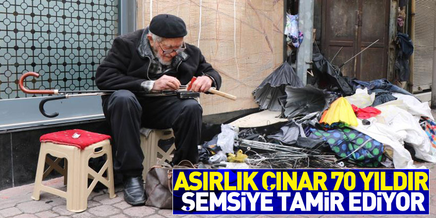 Asırlık çınar 70 yıldır şemsiye tamir ediyor 