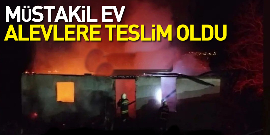 Müstakil ev alevlere teslim oldu